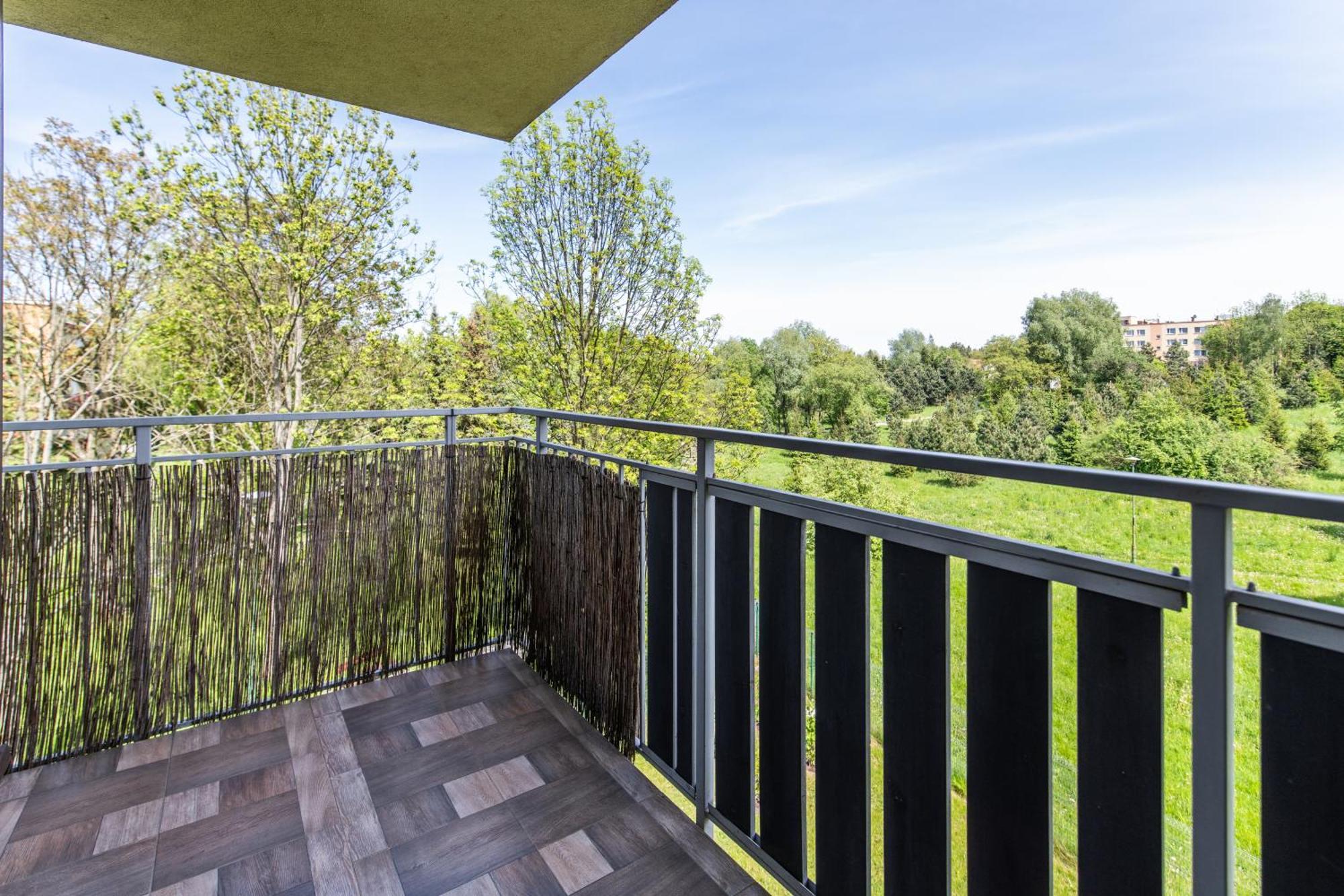 Large Luxury Apartment Groß Salze Exterior foto